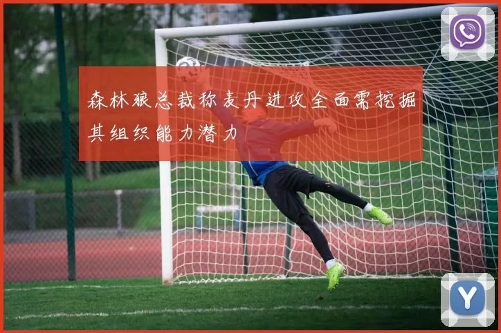 森林狼总裁称麦丹进攻全面需挖掘其组织能力潜力