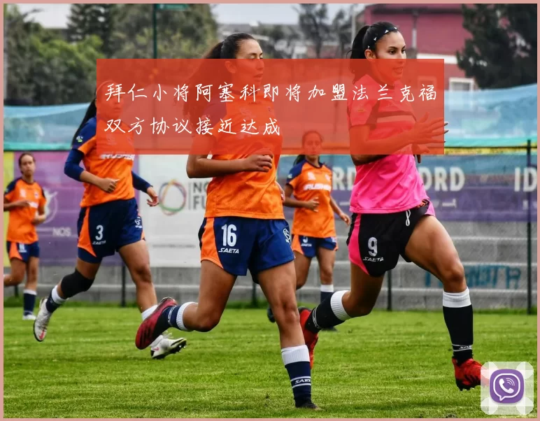 拜仁小将阿塞科即将加盟法兰克福双方协议接近达成